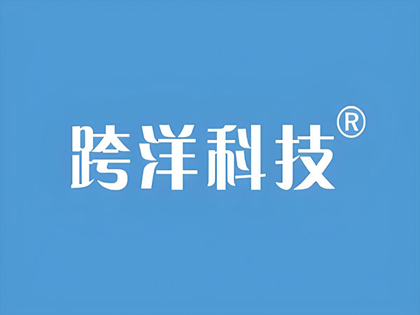 跨洋电商科技建筑外观